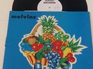 MELVINS 