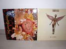 Nirvana - 2 * Vinyl - In Utero & Heart-Shaped Box