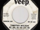 NORTHERN SOUL/TIMOTHY WILSON/HEY GIRL, DO YOU LOVE ME?/COME ON HOME