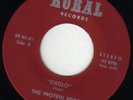 funk jazz 45 THE PROTEIN BROS cholo ++RURAL++ mp3