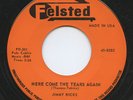 Rare R&B 45 - Jimmy Ricks - Here Come The Tears Again - Mint Minus - Felsted
