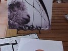 Pearl Jam Vs Original Gatefold LP Nr MINT
