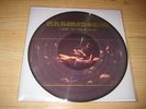 Rammstein Liebe ist für alle da Picture LP Mint