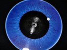 Def Leppard: Lets Get Rocked Limited Edition 12” Picture Disc LP RARE