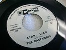 THE CASTAWAYS 
