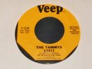 THE TAMMYS VEEP V 1210 Gypsy Hold Back the Light of Dawn Lou Christie Girl Group