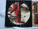 KATE BUSH THE RED SHOES