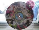 THE YEAH YEAH YEAHS - FEVER TO TELL - PICTURE DISC LP - VERY RARE