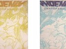 PHOENIX- Cantafabule, Cult Progressive Psych Rock LP- The 1991 Release