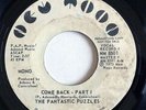 NORTHERN SOUL xover - The FANTASTIC PUZZLES Come Back NEW MOON label 45