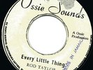 ROD TAYLOR - EVERY LITTLE THING - HARD STEPPERS, JAMDOWN ROCKERS