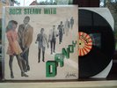 Rock steady with Dandy