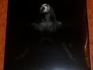 = TAAKE - Taake 2LP