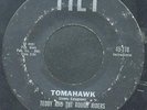 Teddy and the Rough Riders 45 