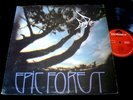 RARE BIRD/EPIC FOREST/+ POSTER+ SINGLE/RARE ORIGINAL UK PRESS