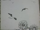 Naomi Seagulls and Sunflowers LP Psych Folk RARE Record VG Cover POOR