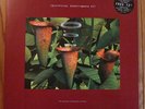 Artificial Intelligence II - Rare Vinyl 3LP - Warp Records