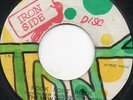 The New Establishment - Rock Fort Rock - Original Press Iron Side Studio One 7