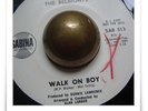 The Belmonts Walk On Boy R&B SOUL MOD HEAR 45