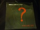 Soul Liberation-Who Are You? LP Rainbow R-5069 LPS  RARE GOSPEL with Lyrics
