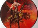 OZZY OSBOURNE   THE ULTIMATE SIN   RARE ORIGINAL UK PICTURE PIC DISC VINYL LP