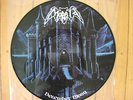 Pic. LP  Morbid - December Moon., Ltd. Edt. 048/500, Top/EX+, RAR