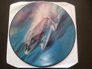 SPACE Just Blue 33T LP 1978 France Picture Disc Image Album Rare French Electro