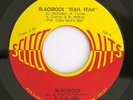Psych Funk 45 - Blackrock - Select O Hits - mp3