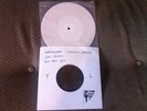 WAYFARER Letumus Cathari Test Press Integrity In Cold Blood Sxe