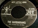 The Barbarians 45 Joy Hey little bird Garage
