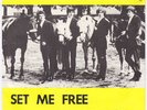KINKS I Need You  Denmark 45 MOD DANCER freakbeat b/w Set Me Free HEAR