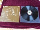 SHAPE OF THE RAIN 1971 NEON PRESS Lp Riley Wood Waggett RAR German Teldec