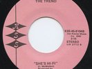 HEAR - Rare Power Pop 45 - The Trend - She's Hi-Fi - Mint Minus