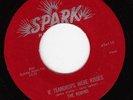 The Robins -Spark 110- If Teardrops Were Kisses/Whadaya Want? r&b 45 rpm single
