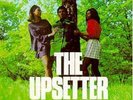 LEE SCRATCH PERRY 'THE UPSETTER' LIMITED EDITION LP - NEW - VERY RARE