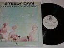 Steely Dan 2nd LP Countdown to Ecstasy White Label Promo LP Near Mint Vinyl