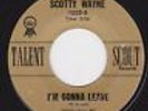 SCOTTY WAYNE (FREDDIE FENDER) - 