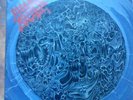 2 x Morbid Angel  ( Altars of madness & Blessed are the sick )