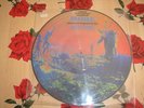 PICTURE DISC 33T-PINK FLOYD- MORE -RARE-M