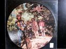 CREEDENCE CLEARWATER REVIVAL GREEN RIVER PICTURE DISC