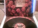 STRANGLERS - NO MORE HEROES LP SIGNED ORIG 1977 PUNK