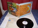 ASGARD...IN THE REALM OF ASGAERD....STUNNING ORIG. UK 1st PRESS..SUPERB AUDIO