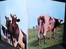1970 RARE FIRST PRINT COVER   PINK FLOYD - ATOM HEART Prog Psych   