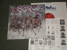 NO MERCY LP - SUICIDAL TENDENCIES - WIDESPREAD RARE PRIVATE METAL NM *INSERTS*