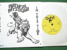 Natural Mystique Generals Dune Label Birmingham Roots Reggae 1982 7