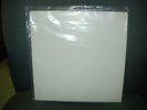Good Riddance - Symptoms Of A Leveling Spirit LP TEST PRESSING