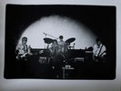 MISFITS ORiGiNaL 1977 photo 11 x 14 inches Shock Theatre Toronto RaRe BULLET