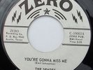 SPADES You're Gonna Miss Me 45 Roky Erickson 13th Floor Elevators