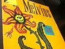 Melvins Stag 12