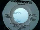CHRISTINE COOPER - HEARTACHES AWAY MY BOY - PARKWAY - NORTHERN SOUL
